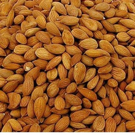 KAYISI-(KAYISI ÇEKİRDEĞİ)