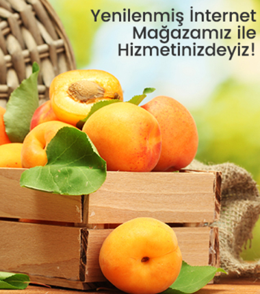 Kayısı